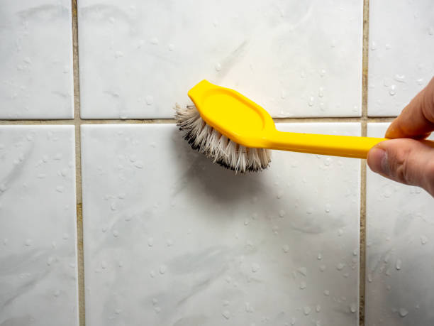 Best Home Mold Removal  in Doctor Phillips, FL